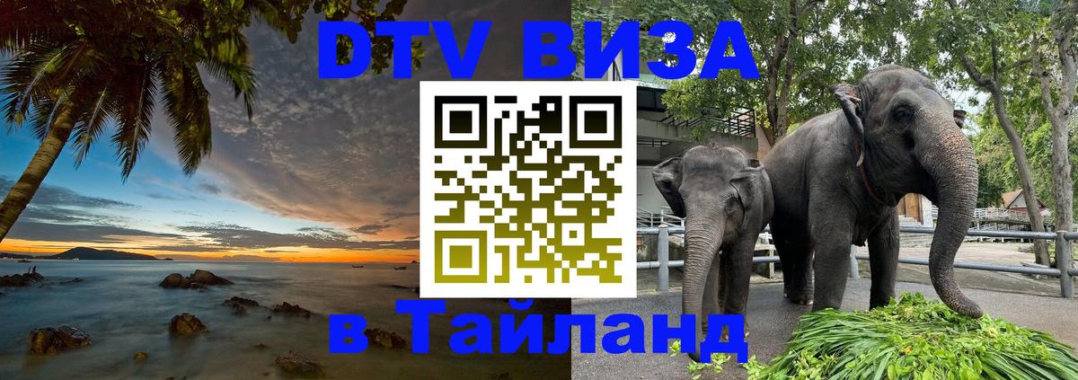 Оформление DTV визы под ключ: стоимость и тарифы, только загранпаспорт - 09.12.2025 